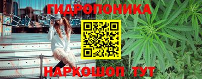 кокаин колумбия Гай