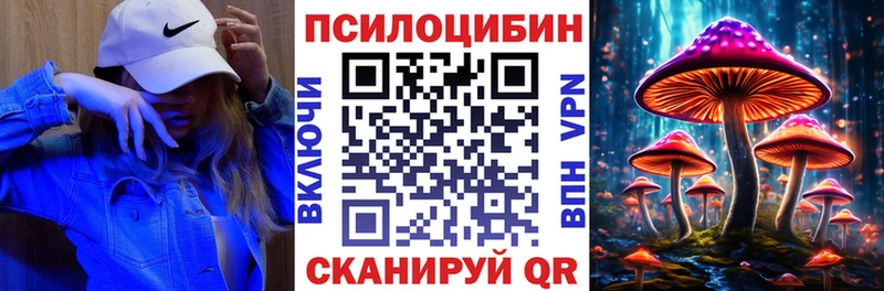 сколько стоит  Ковров  Галлюциногенные грибы Psilocybe 
