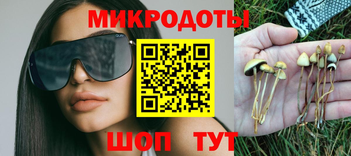 Галлюциногенные грибы Psilocybine cubensis  как найти закладки  Ковров  Вход с VPN 