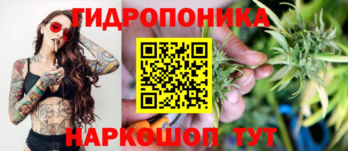 Каннабис гибрид Ковров